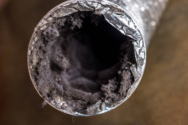 Best Air Duct Cleaning Near Me  in Wells, NV