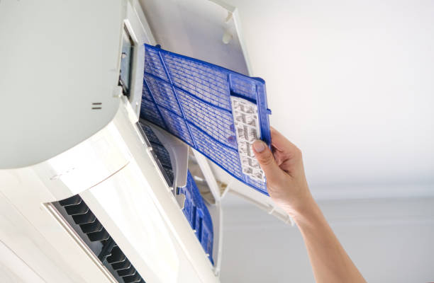 Best Affordable HVAC Duct Cleaning  in Wells, NV