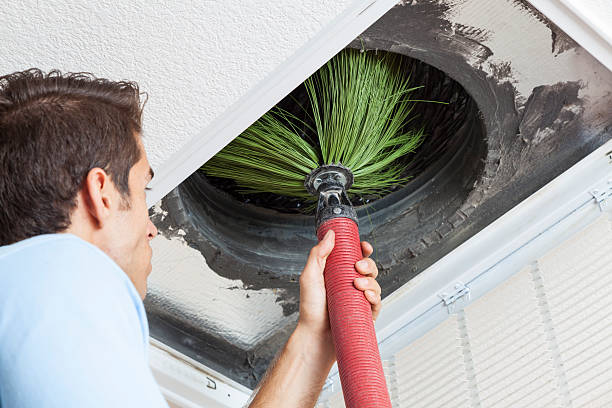 Best Air Duct Cleaning Near Me  in Wells, NV